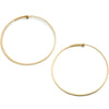 <!--ER545-->signature hoops
