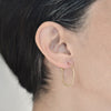 <!--ER545-->signature hoops