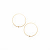 <!--ER730-->loop hoop earrings