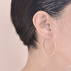 <!--ER545-->signature hoops